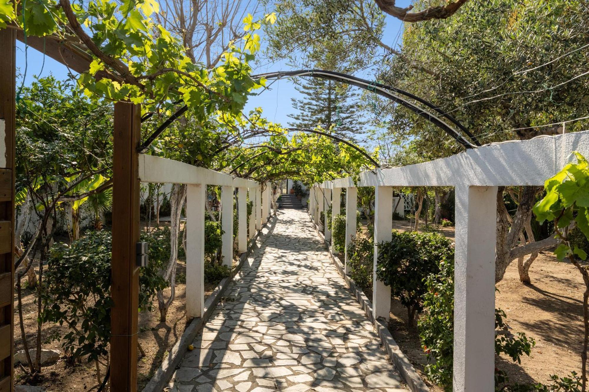 Ariadni Apartments Faliraki Exterior photo